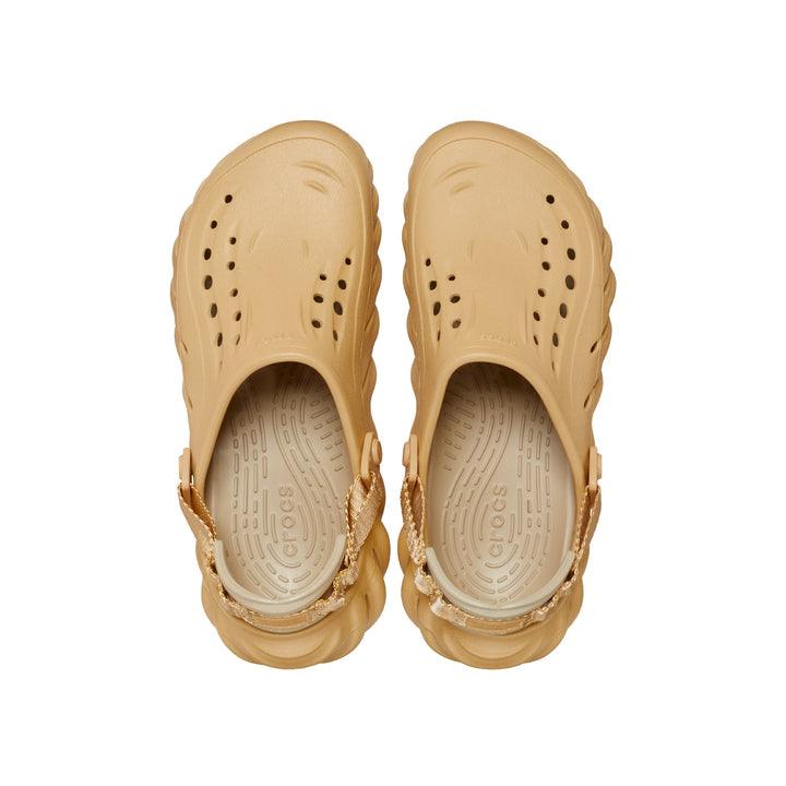 Wheat