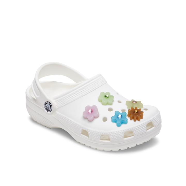 JIBBITZ™ ACRYLIC ENLIGHTEN FLOWER 5 PACK