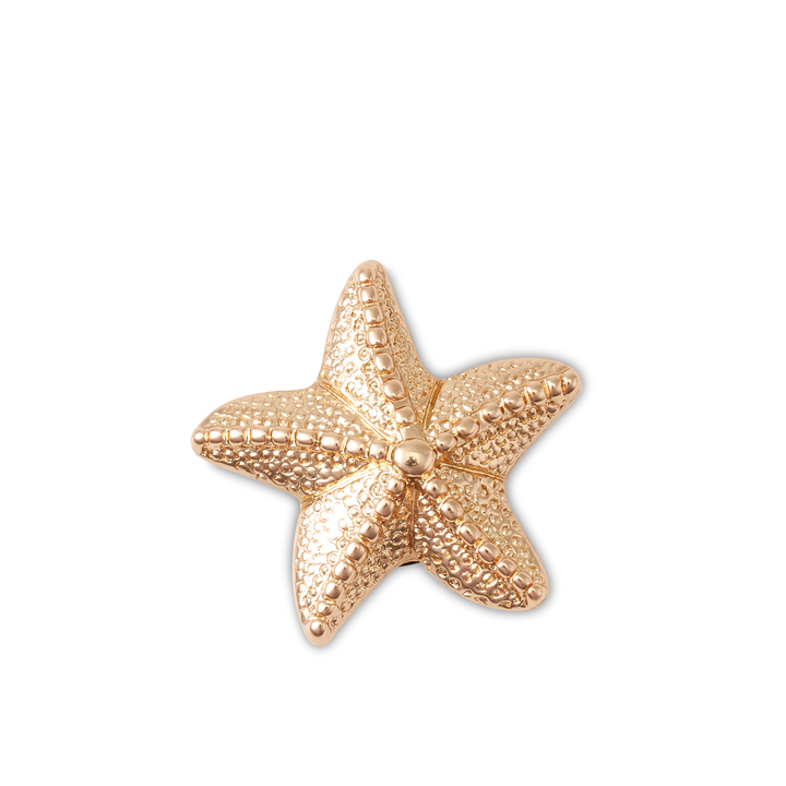 ตัวติดรองเท้า JIBBITZ™ GOLD STAR FISH