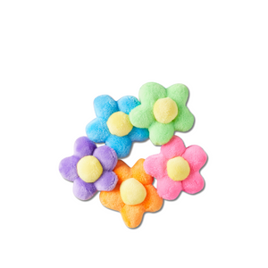 ตัวติดรองเท้า JIBBITZ™ PLUSH FLOWER POWER SET 5