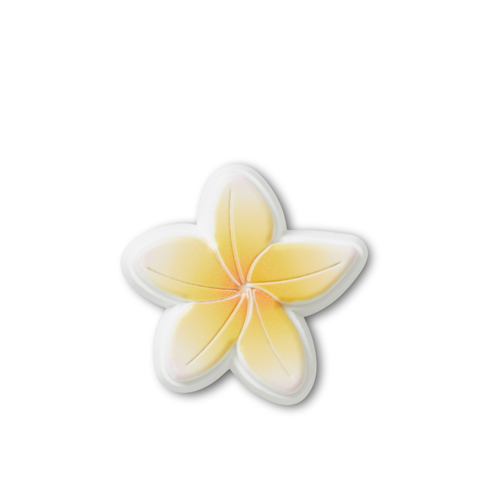 ตัวติดรองเท้า JIBBITZ™ BEACH FLOWER