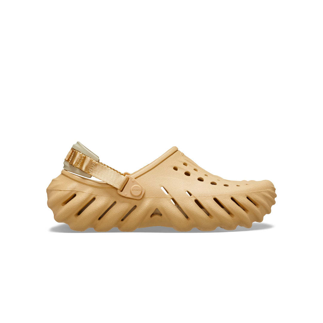 Wheat