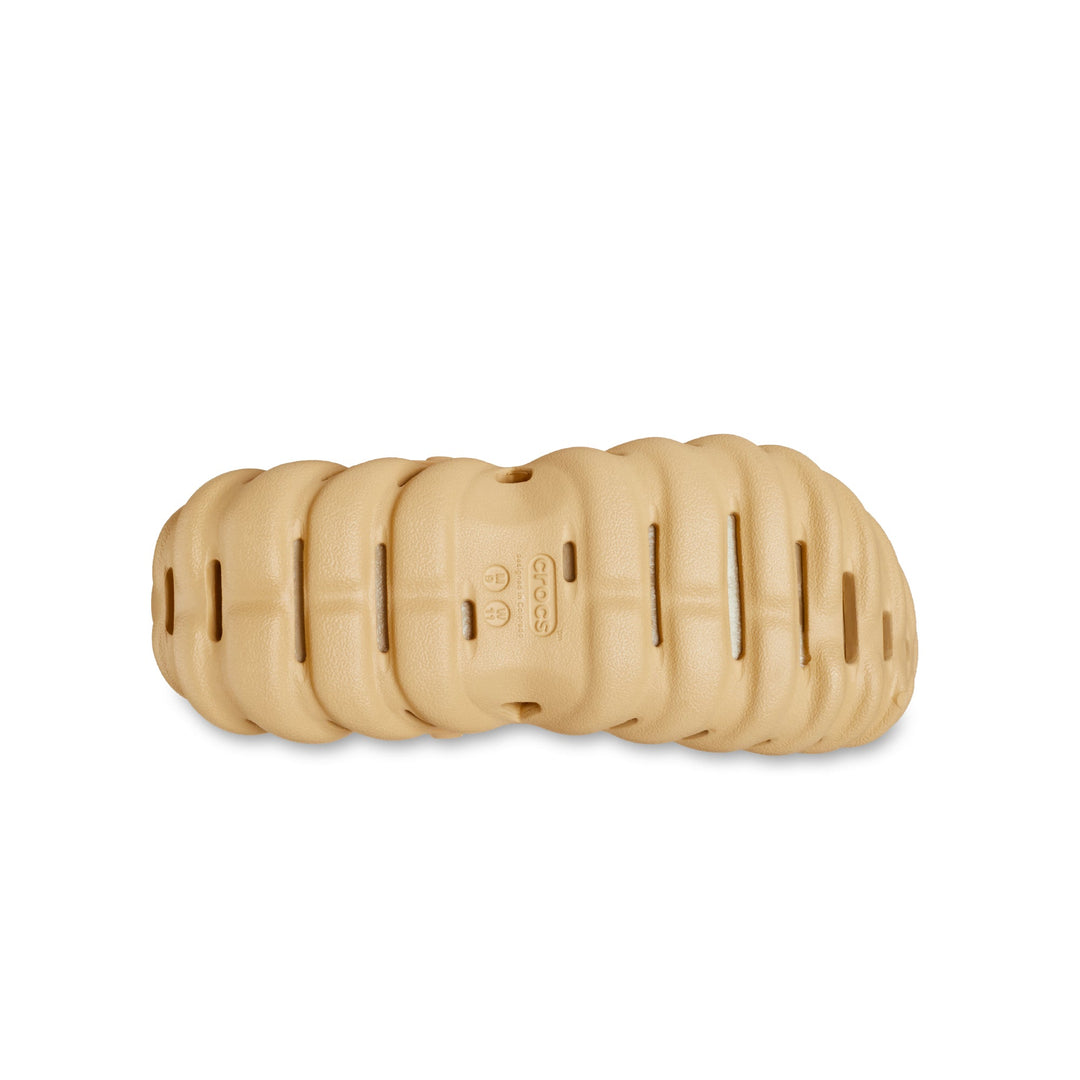 Wheat