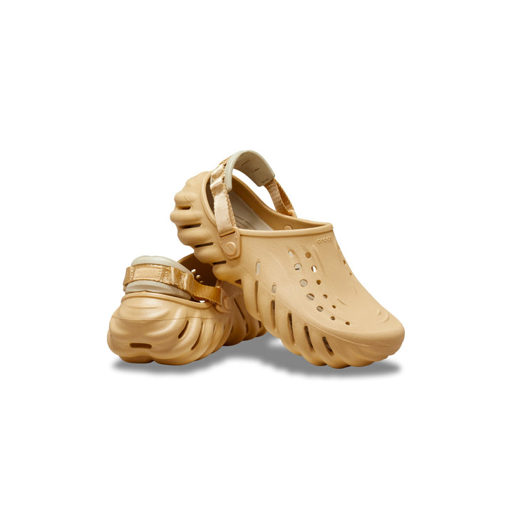 Wheat
