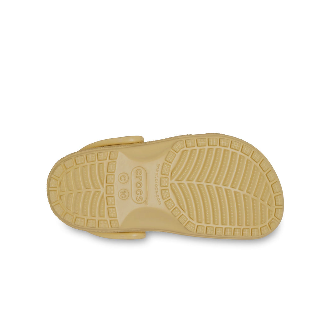 Wheat