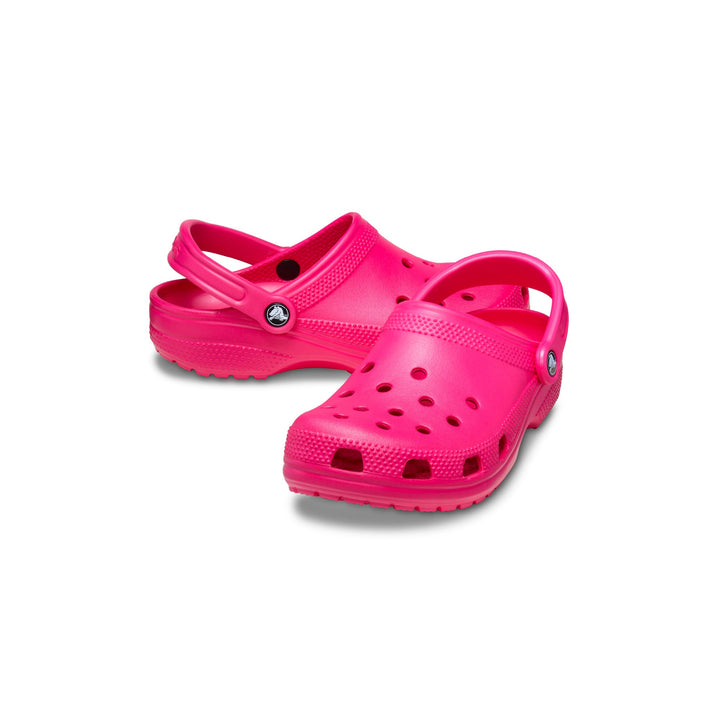 Dragon Fruit