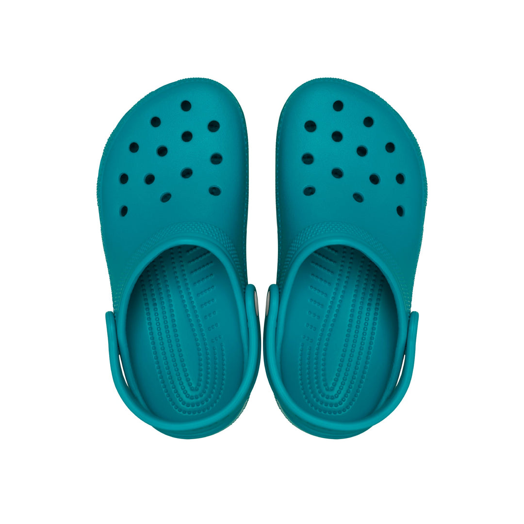 Turbo Teal