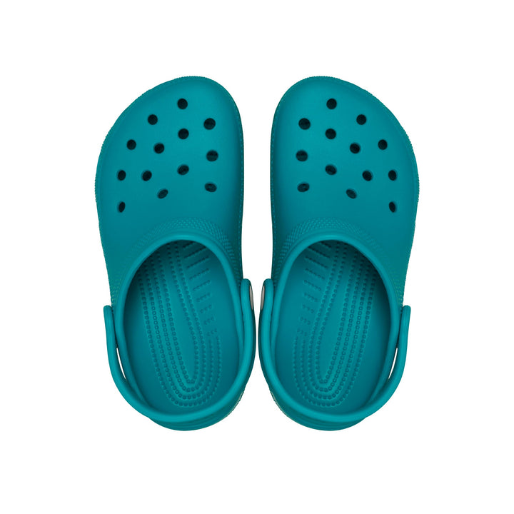 Turbo Teal