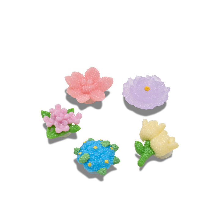 ตัวติดรองเท้า JIBBITZ™ BEADED FLOWERS 5 PACK