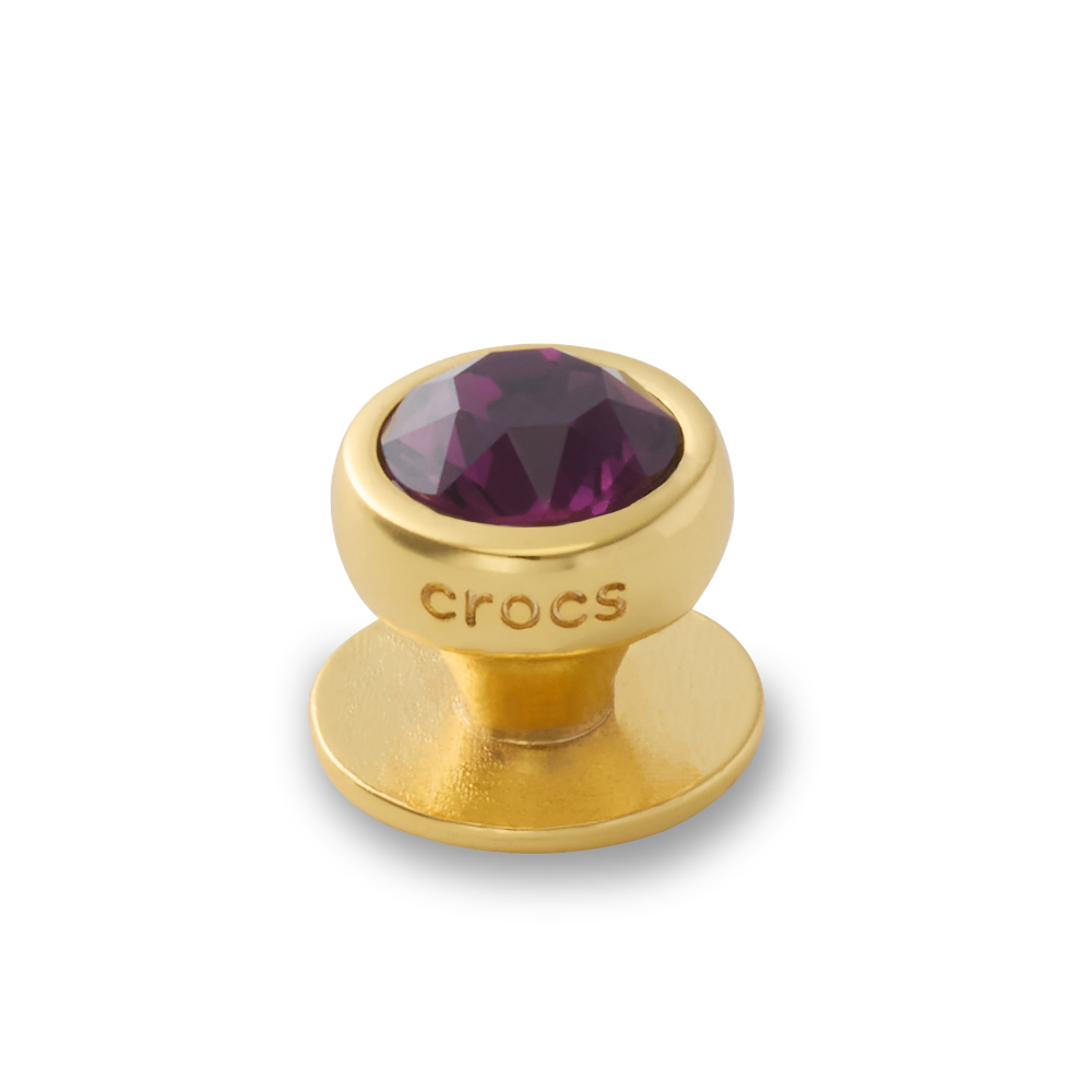 ตัวติดรองเท้า JIBBITZ™ JANUARY BIRTHSTONES WITH SWAROVSKI® CRYSTALS